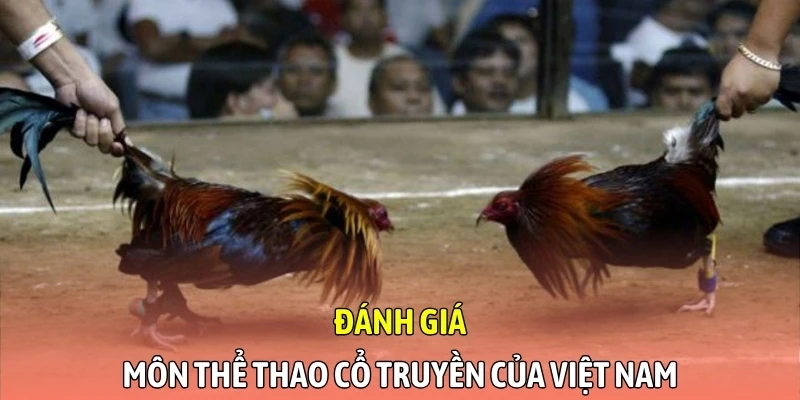 Đánh giá môn thể thao cổ truyền của Việt Nam