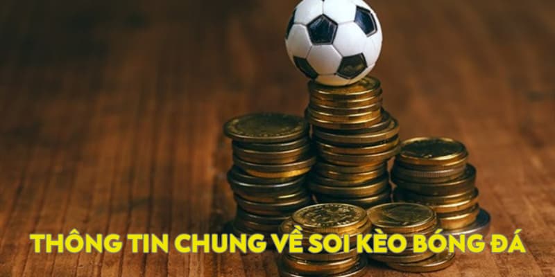 Thông tin chung về phương pháp